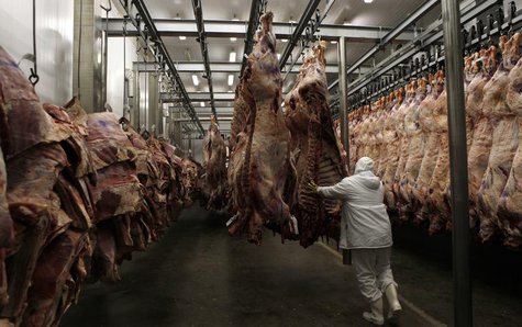 A worker arranges slaughtered cattle in the freezing room in the Marfrig Group slaughter house in Promissao, 500 km northwest of Sao Paulo O A worker arranges slaughtered cattle in the freezing room in the Marfrig Group slaughter house in Promissao, 500 km northwest of Sao Paulo O