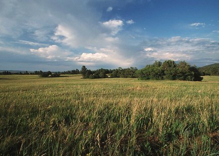 A new study of land use patterns across seven Midwestern states, including South Dakota, finds little net movement of habitat to crop land/SDFB Image.
A new study of land use patterns across seven Midwestern states, including South Dakota, finds little net movement of habitat to crop land/SDFB Image.