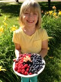 bayfield berries bayfield berries