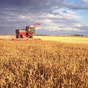 Farming Farming