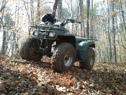 atv in woods
atv in woods