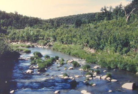 pembina gorge fossil dig