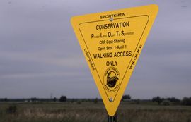 Plots Hunting Guide Plots Hunting Guide