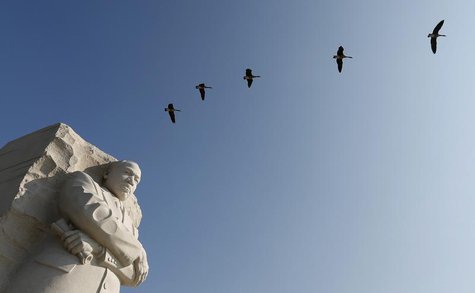 Geese fly over the the Martin Luther King Jr. Memorial in Washington August 20, 2013. REUTERS/Kevin Lamarque Geese fly over the the Martin Luther King Jr. Memorial in Washington August 20, 2013. REUTERS/Kevin Lamarque