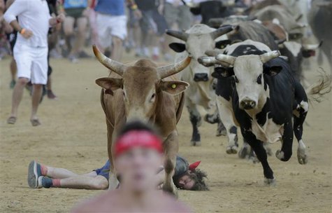 A man lies unconscious after being run over by bulls during the last heat at the Great Bull Run in Petersburg, Virginia August 24, 2013. The A man lies unconscious after being run over by bulls during the last heat at the Great Bull Run in Petersburg, Virginia August 24, 2013. The