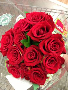 Red Roses Red Roses