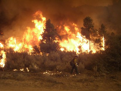 Wildfire Wildfire