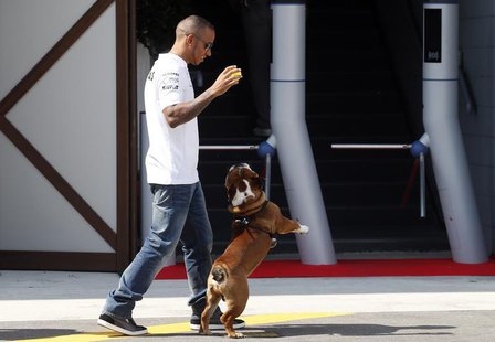 Mercedes Formula One driver Lewis Hamilton of Britain plays with his pet dog Roscoe in the paddock Formula One racetrack in Monza September Mercedes Formula One driver Lewis Hamilton of Britain plays with his pet dog Roscoe in the paddock Formula One racetrack in Monza September