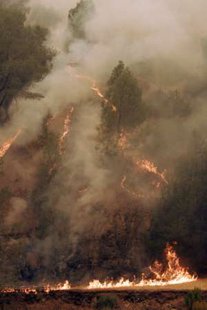 A small but fast-growing brush fire near Mount Diablo State Park, northeast of San Francisco.REUTERS/Robert Galbraith A small but fast-growing brush fire near Mount Diablo State Park, northeast of San Francisco.REUTERS/Robert Galbraith