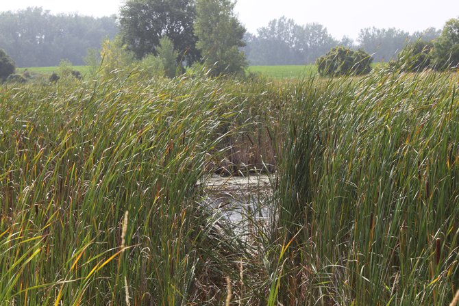 You'll be coming out of a pond through here