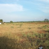Dry farm land (Photo by: Eldiaar/Creative Commons). Dry farm land (Photo by: Eldiaar/Creative Commons).
