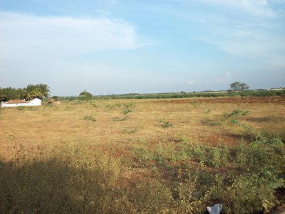 Dry farm land (Photo by: Eldiaar/Creative Commons). Dry farm land (Photo by: Eldiaar/Creative Commons).