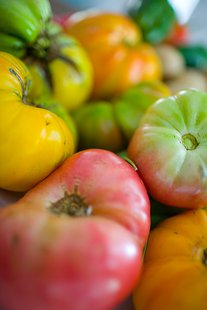 What some tomatoes might look like. What some tomatoes might look like.