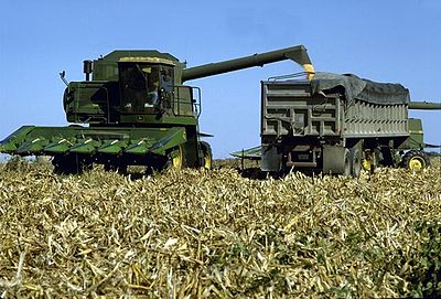 Corn Harvest Corn Harvest