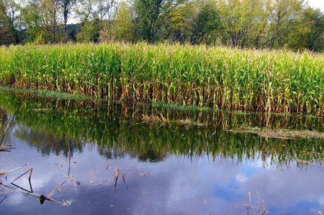The City of Sioux Falls has an adopted ordinance regarding floodplain management. (earl53 photo) The City of Sioux Falls has an adopted ordinance regarding floodplain management. (earl53 photo)
