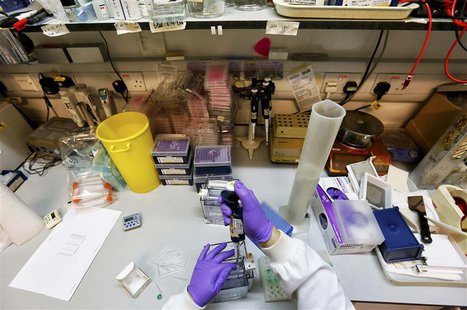 A scientist separates proteins by gel electrophoresis in a lab at the Institute of Cancer Research in Sutton July 15, 2013. REUTERS/Stefan W A scientist separates proteins by gel electrophoresis in a lab at the Institute of Cancer Research in Sutton July 15, 2013. REUTERS/Stefan W