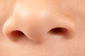 Nose Nose