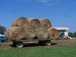 Hay Bales Hay Bales