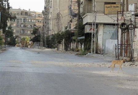A dog walks along a damaged street in the Damascus suburb of Zamalka October 3, 2013. REUTERS/Bassam Al Arbeeni A dog walks along a damaged street in the Damascus suburb of Zamalka October 3, 2013. REUTERS/Bassam Al Arbeeni