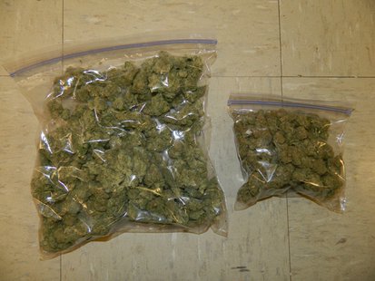 Marijuana Seized Marijuana Seized