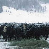 Gov. Dennis Daugaard is encouraging South Dakotans to assist ranchers who have experienced losses in the recent blizzard by donating to the Rancher Relief Fund. sdextension.edu Gov. Dennis Daugaard is encouraging South Dakotans to assist ranchers who have experienced losses in the recent blizzard by donating to the Rancher Relief Fund. sdextension.edu