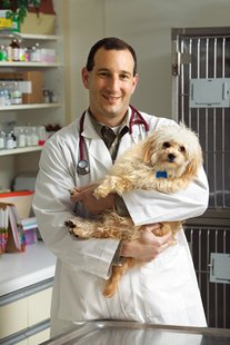 Veterinary Medicine
Courtesy Purdue University Vet Program Veterinary Medicine
Courtesy Purdue University Vet Program