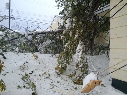 South Dakota snow storm damage South Dakota snow storm damage
