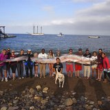 The crew of sailing school vessel Tole Mour and Catalina Island Marine Institute instructors hold an 18-foot-long oarfish that was found in The crew of sailing school vessel Tole Mour and Catalina Island Marine Institute instructors hold an 18-foot-long oarfish that was found in