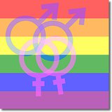 The Voters of Michigan approved the ban on Gay Marriage, putting it into the State Constitution in 2004. The Voters of Michigan approved the ban on Gay Marriage, putting it into the State Constitution in 2004.