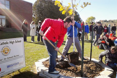 Teachers help plant a new maple tree at Newman Catholic High School, October 28 2013 Teachers help plant a new maple tree at Newman Catholic High School, October 28 2013