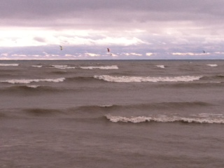Kite boarders out in Lake Michigan off of south pier Kite boarders out in Lake Michigan off of south pier