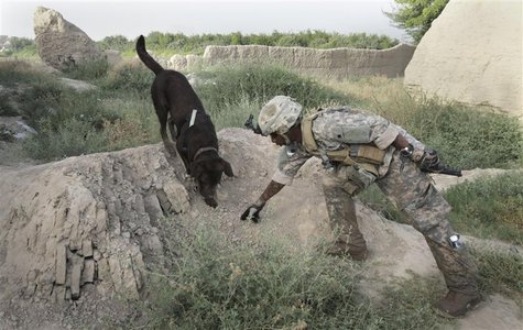 Dog handler Sergeant Justin McGhee of the US Army's 67th Engineer Detachment works with his dog Archie as they search for buried munitions n Dog handler Sergeant Justin McGhee of the US Army's 67th Engineer Detachment works with his dog Archie as they search for buried munitions n