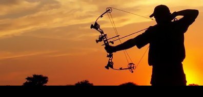 Bow Hunting Bow Hunting