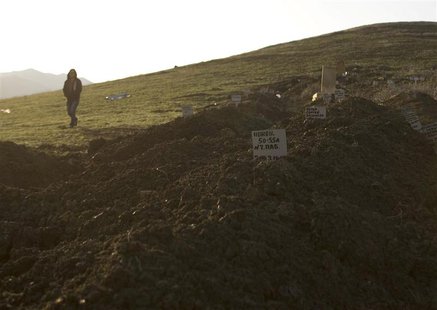 A view of a cemetery, where people including militants killed by security forces are buried, on the suburbs of Makhachkala, October 1, 2013. A view of a cemetery, where people including militants killed by security forces are buried, on the suburbs of Makhachkala, October 1, 2013.