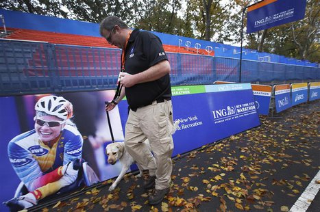 A security guard and bomb sniffing dog patrol the area near the finish line of the New York City Marathon in New York's Central park Novembe A security guard and bomb sniffing dog patrol the area near the finish line of the New York City Marathon in New York's Central park Novembe