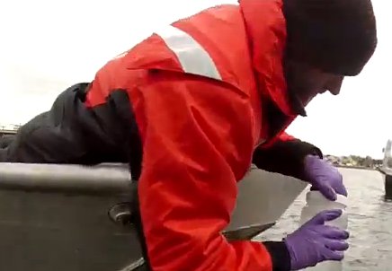 Biologists take water samples from Sturgeon Bay in search for Asian carp DNA. (Photo from: YouTube). Biologists take water samples from Sturgeon Bay in search for Asian carp DNA. (Photo from: YouTube).