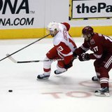 Detroit Red Wings forward Pavel Datsyuk Detroit Red Wings forward Pavel Datsyuk