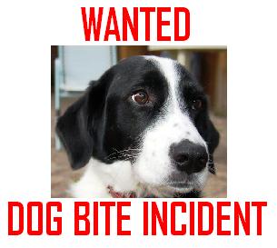 The Sioux Falls Police Department’s Animal Control Division would like the public’s help in locating a dog in reference to a dog bite. (MB Image) The Sioux Falls Police Department’s Animal Control Division would like the public’s help in locating a dog in reference to a dog bite. (MB Image)