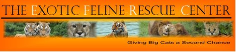 Exotic Feline Rescue Center banner logo Exotic Feline Rescue Center banner logo
