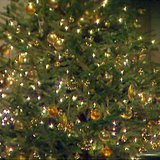 Christmas Tree Christmas Tree