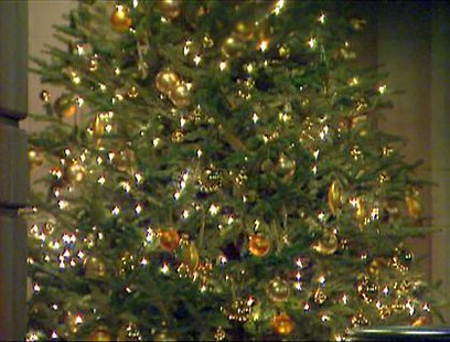Christmas Tree Christmas Tree