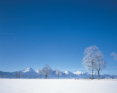 Snow Snow