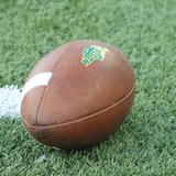 NDSU looks to complete first undefeated regular season since 1990 with victory over South Dakota. NDSU looks to complete first undefeated regular season since 1990 with victory over South Dakota.