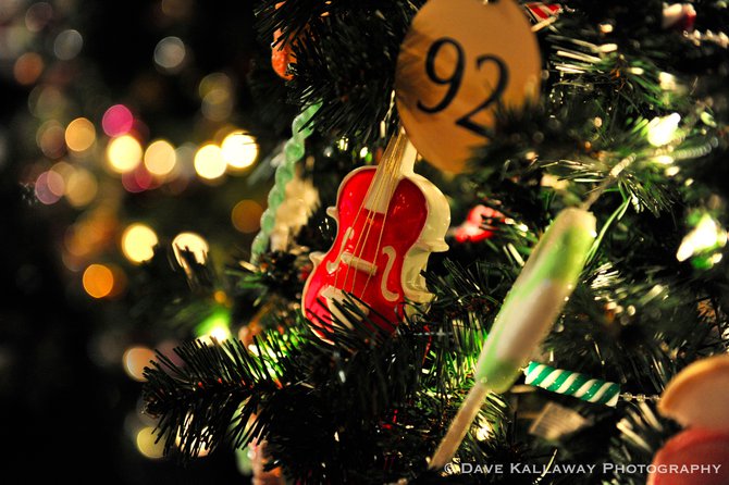 Festival of Trees - Photo: Dave Kallaway Photography