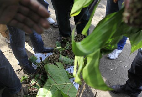 People crowd to pick their choice of qat sticks at an open air wholesale market in Kenya's capital Nairobi July 10, 2013. REUTERS/Noor Khami People crowd to pick their choice of qat sticks at an open air wholesale market in Kenya's capital Nairobi July 10, 2013. REUTERS/Noor Khami