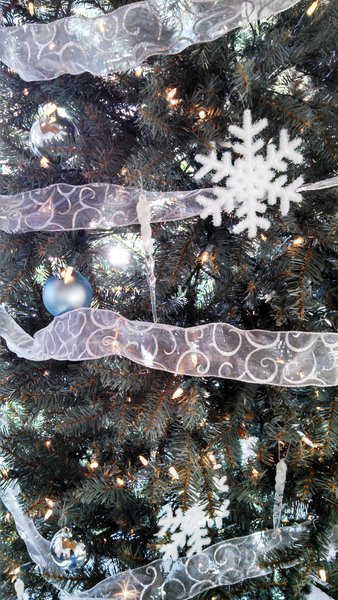 Dec 2nd: Andy & Christy decorated trees @ Good Samaritan Society Luther Manor