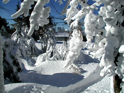 Duluth Snow Storm Duluth Snow Storm