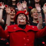 Singer Susan Boyle smiles as poppy's fall over her at a photocall during the launch of the Poppy Scotland appeal in Glasgow, Scotland Octobe Singer Susan Boyle smiles as poppy's fall over her at a photocall during the launch of the Poppy Scotland appeal in Glasgow, Scotland Octobe