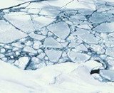 Cracked ice Cracked ice