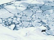 Cracked ice Cracked ice